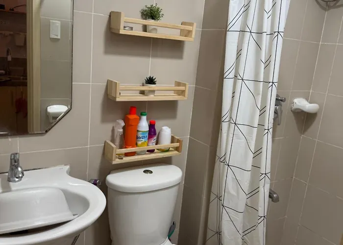1 Bedroom Grass Tower 1a North Avenue Mmanilla